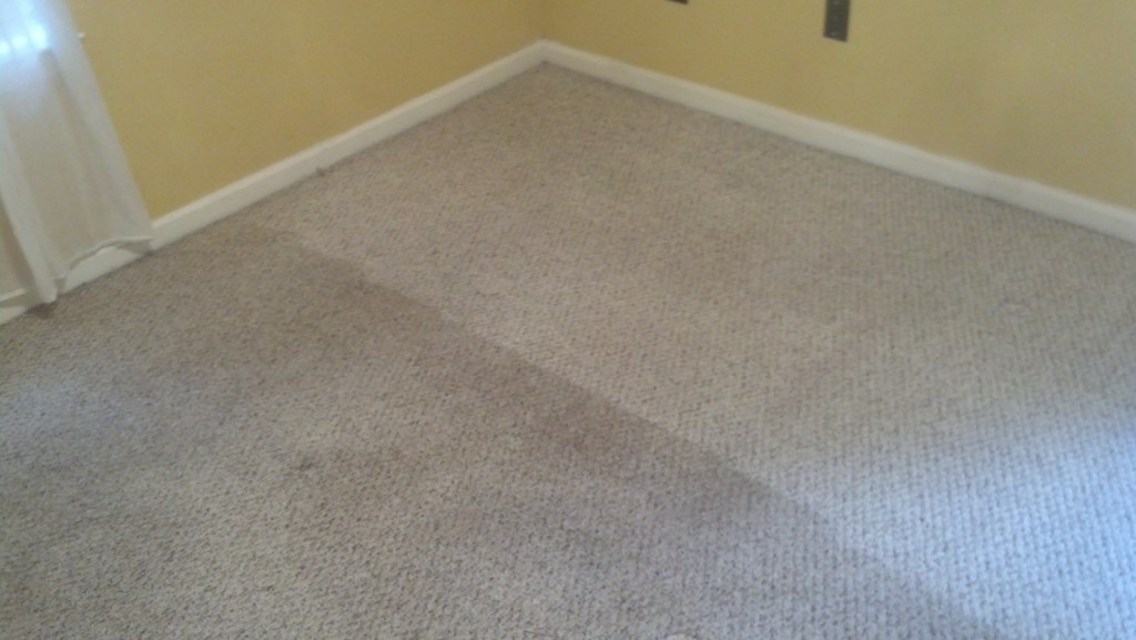 Berber Carpet Cleaning Peachtree City