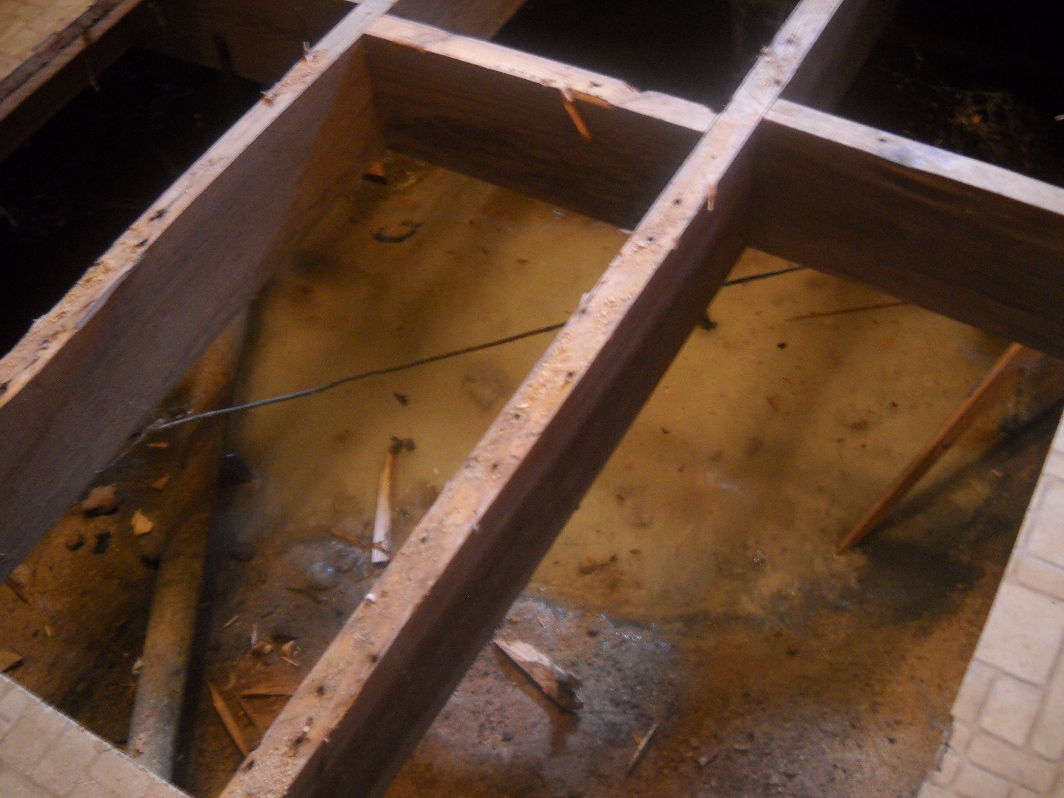 crawl space cleaning newnan